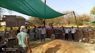 IMG 20250122 182656 328