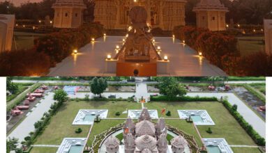 InShot 20250129 165343143