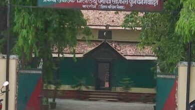 forest office khargone khargone wildlife sanctuary 8k4q5j2x17