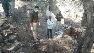 258258258 1000x600 1