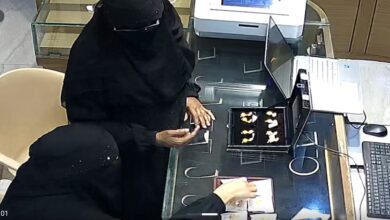 3f80609b 78f0 4c03 9068 08b3617903b7