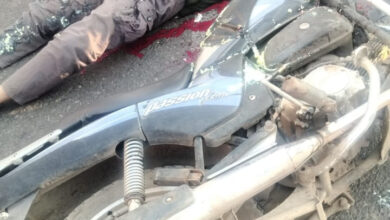 7e2865b6 55b8 41d4 af74 4bab194214e8 e1738507263168