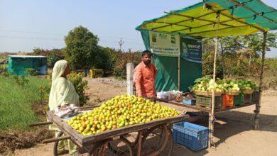 IMG 20250208 200008 465