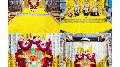 InShot 20250223 072159253