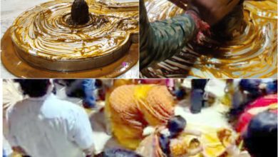 InShot 20250223 203255438