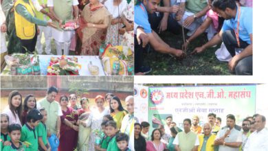 InShot 20250224 181509920