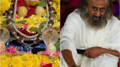 InShot 20250225 202405319