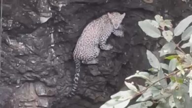 Videoshot 20250225 140257