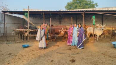 22fa33a9 3241 4347 8dab 5b95496cf13d