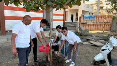 6d99a742 486f 45ae a98d 106be1d22e94