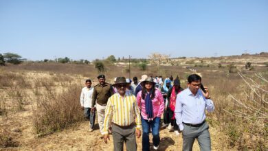 IMG 20250305 WA0007 1