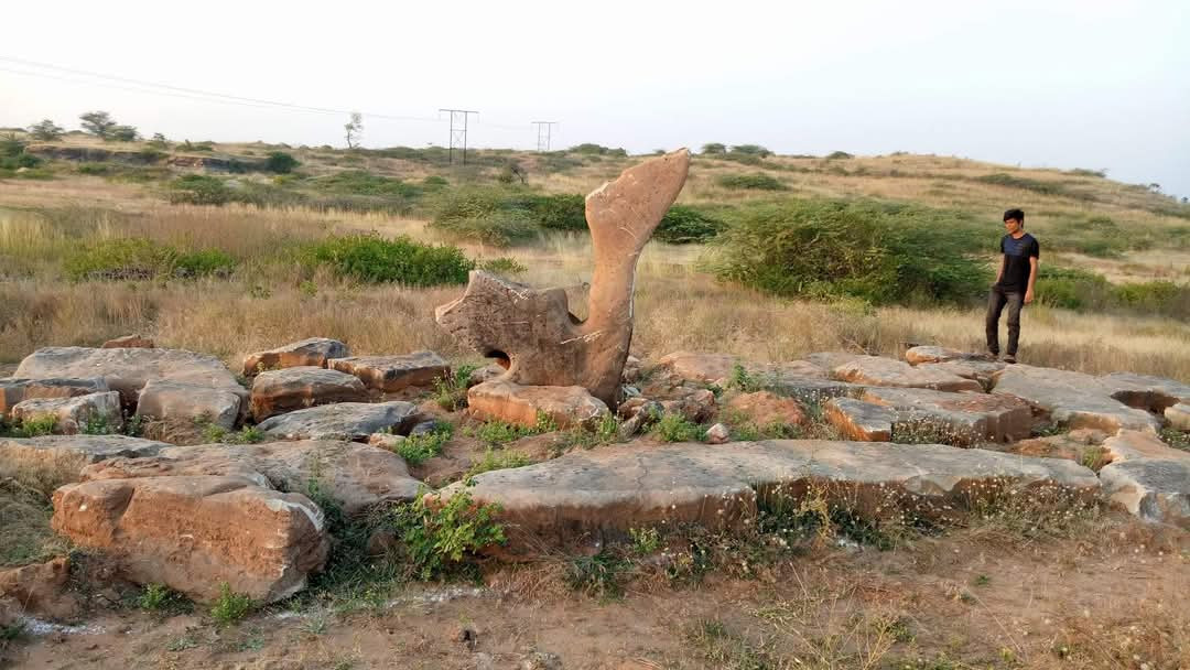 IMG 20250317 WA00871