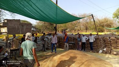 IMG 20250305 182205 110