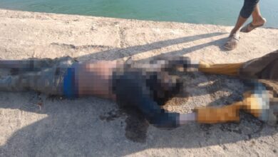 Picsart 25 03 08 20 59 22 561