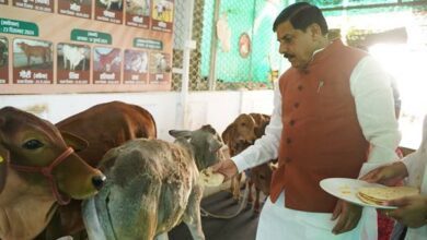 TN5 Bhopal250325040913