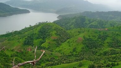 c1309081 4bfe 4e09 848c 6c58475a8581