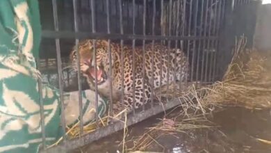 1200 675 20605495 thumbnail 16x9 image