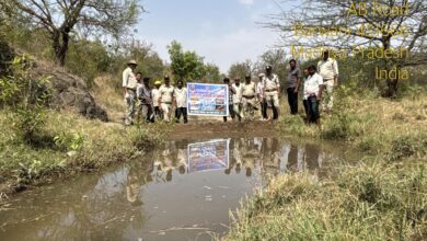 776c5e46 063f 4fac b5d9 8aed82d4e7a9