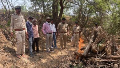 IMG 20250405 WA0051 2