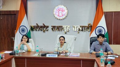 c5052c80 482d 443c b2c8 8ce4917dae54