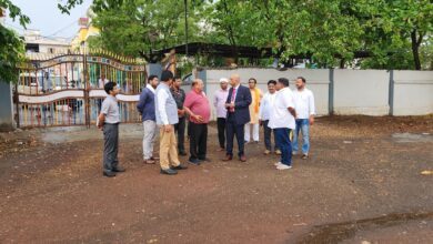 96cbdd85 53da 47d4 b635 5192cf6f2212