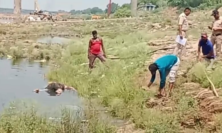 बड़वाह। नर्मदा में मिला अज्ञात युवक का शव...मौके पर पहुंची पुलिस.... 1 IMG 20250526 11303075