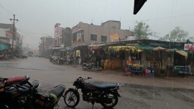 WhatsApp Image 2025 05 12 at 20.53.04