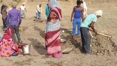 b4e8e79d 0219 413f b075 634a39a57459 1654246491450