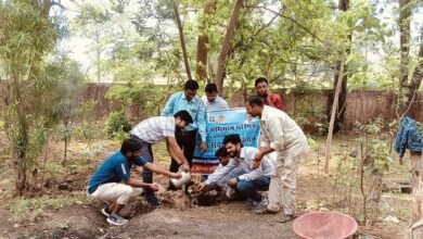 eaee133a 5699 4324 9848 8ac4a2e476da