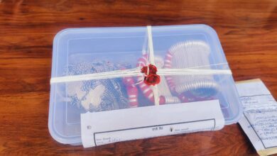 3d684970 b671 4f9c 8734 c121e3430b32