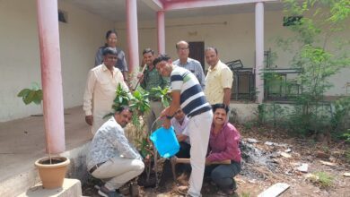 522088df 49be 4407 9d37 50296fb851b2