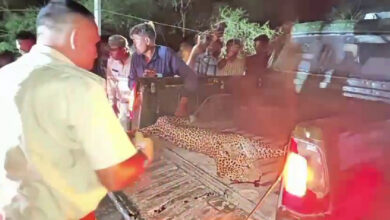 96a04059 3573 4538 b81f e1749148389989