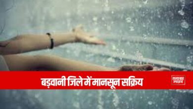 बड़वानी जिले में मानसून सक्रिय, राजपुर में सर्वाधिक वर्षा दर्ज 4 Copy of Copy of 19801080a 3