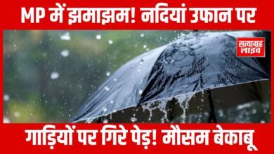 Copy of Copy of Copy of 19801080a 10