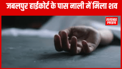 Copy of Copy of Copy of 19801080a 2