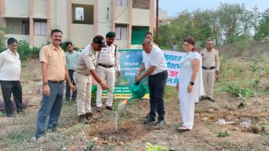 a5754dfb c5e8 4070 91a8 8bc63a3ce980