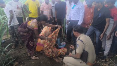 bb2b25e3 c7b2 4e16 85a4 b8b235a796c4