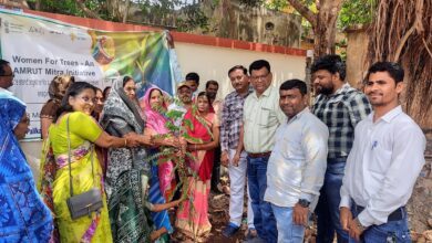 c75e7c2d 79f3 41b4 8e18 69a983d16ae5