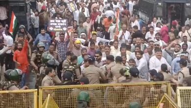 f6272c3c 684c 466a aed3 98cbec6e4117