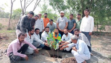 f6ba2b4c 575e 44c7 be46 f7c391524088