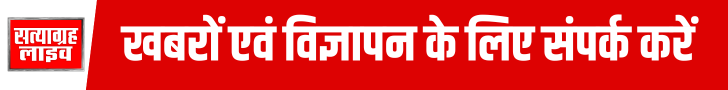 Buy satyagrahlive Theme
