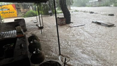 4acd495e cd61 41ab 953d 39c69fc82dd5