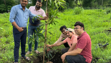 9a977faf d268 436f bd3c 2267442dd870 e1752687369754