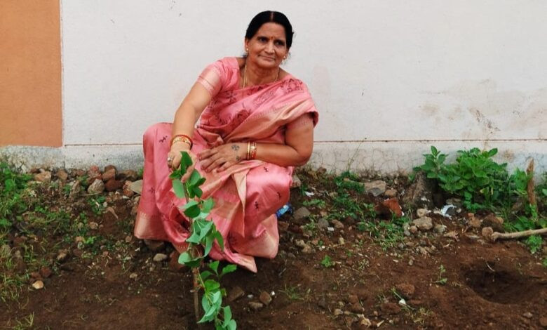 सेंधवा में हरियाली अमावस्या पर गिलोय वितरण, श्रीमती गायत्री गुप्ता ने बताया औषधीय महत्व 1 IMG 20250728 232341