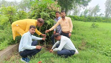 f7cb889b cbaa 4fd4 a3c1 474315191baa