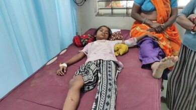 बड़वानी में आवारा कुत्तों का आतंक: 7 लोग घायल, बुजुर्ग की नाक काटी 5 WhatsApp Image 2025 08 27 at 4.46.17 PM