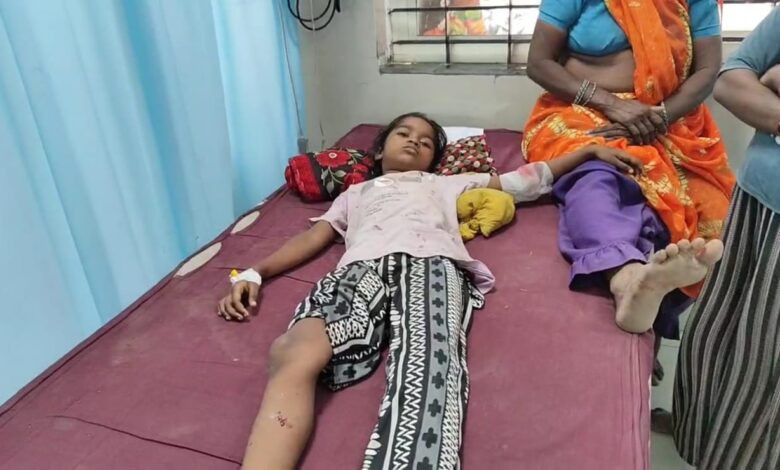 बड़वानी में आवारा कुत्तों का आतंक: 7 लोग घायल, बुजुर्ग की नाक काटी 1 WhatsApp Image 2025 08 27 at 4.46.17 PM