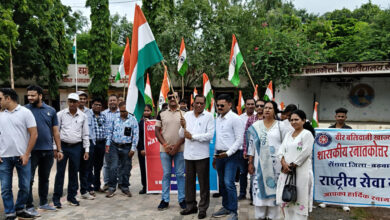 col 13 scaled e1755076719523