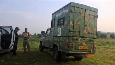 बड़वानी; तेंदुए को पकड़ने के लिए वन विभाग द्वारा तलाशी अभियान जारी 3 1 1