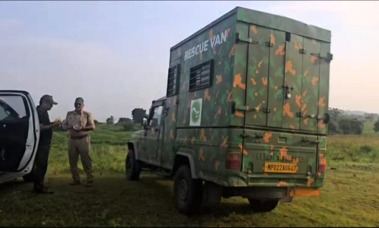 बड़वानी; तेंदुए को पकड़ने के लिए वन विभाग द्वारा तलाशी अभियान जारी 1 1 1